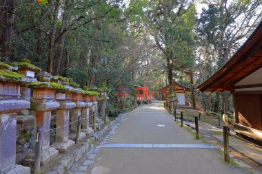  Kasuga Taisha, Kasuganocho, Nara, Japonya 'da feneri olan bir Shinto tapınağı.