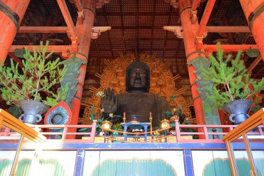 Japonya 'nın Zoshicho, Nara, Japonya' daki en büyük bronz Buda heykellerinden birine sahip bir Budist tapınağı.