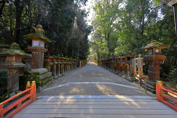  Kasuga Taisha, Kasuganocho, Nara, Japonya 'da feneri olan bir Shinto tapınağı.
