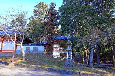 Japonya 'nın Zoshicho, Nara, Japonya' daki en büyük bronz Buda heykellerinden birine sahip bir Budist tapınağı.