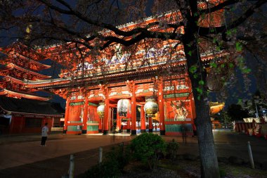 Sensoji, Asakusa Kannon Tapınağı, Tokyo 'nun en popüler tapınaklarından biri..