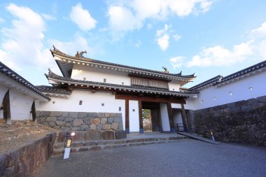 Shiroishi Kalesi 'nde kiraz çiçekleri, Masuokacho, Shiroishi, Miyagi, Japonya' da restore edilmiş bir 16. yüzyıl şatosu.