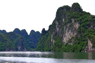 Ha Long Bay, Thanh pho Ha Long 'daki kireçtaşı adaları, Quang Ninh, Vietnam