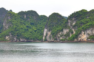 Ha Long Bay, Thanh pho Ha Long 'daki kireçtaşı adaları, Quang Ninh, Vietnam