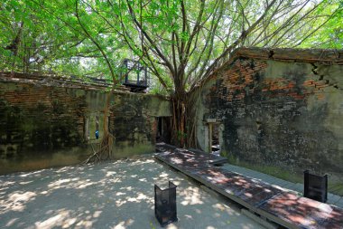 Anping Ağaç Evi, Gubao Caddesi, Anping Bölgesi, Tainan, Tayvan 'da banyan ağaçlarıyla kaplanmış eski bir depo.