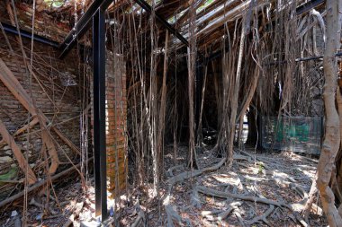 Anping Tree House, a former warehouse overgrown with banyan trees at Gubao St, Anping District, Tainan, Taiwan clipart