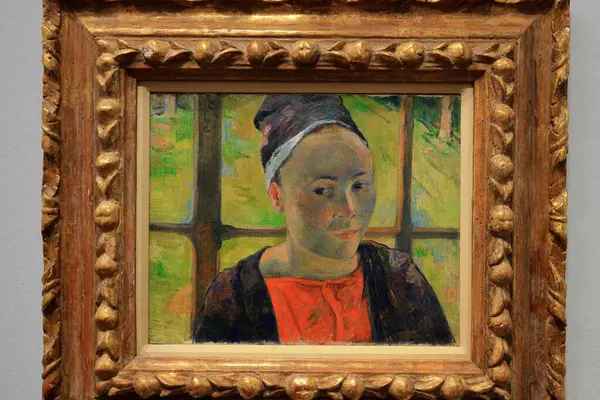 Albertina 'da resim ve sanat eserleri, sanat müzesi, 19. yüzyıl Habsburg sarayı eski ana baskı koleksiyonları ve 20. yüzyıl sanat eserleri Wien' de (Viyana), Avusturya