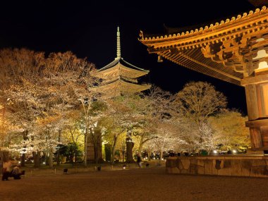 Kiraz çiçekleri olan Toji Tapınağı, Kujocho, Minami, Kyoto, Japonya 'da 5 katlı ahşap bir tapınağı olan tarihi Budist tapınağı.