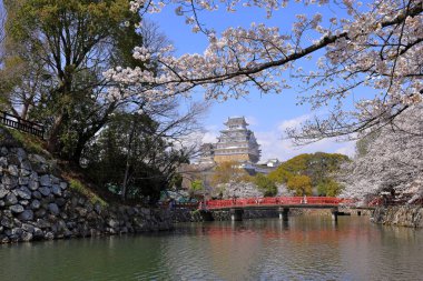 Kiraz çiçekleriyle Himeji Kalesi 1333 tarihli Iconic kalesi Honmachi, Himeji, Hyogo, Japonya 