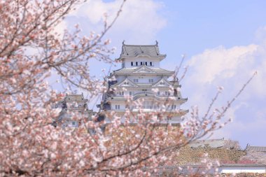 Kiraz çiçekleriyle Himeji Kalesi 1333 tarihli Iconic kalesi Honmachi, Himeji, Hyogo, Japonya 