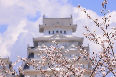 Kiraz çiçekleriyle Himeji Kalesi 1333 tarihli Iconic kalesi Honmachi, Himeji, Hyogo, Japonya 