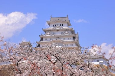 Kiraz çiçekleriyle Himeji Kalesi 1333 tarihli Iconic kalesi Honmachi, Himeji, Hyogo, Japonya 