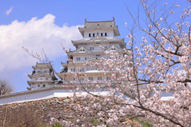 Kiraz çiçekleriyle Himeji Kalesi 1333 tarihli Iconic kalesi Honmachi, Himeji, Hyogo, Japonya 