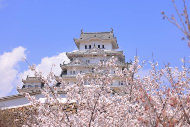 Kiraz çiçekleriyle Himeji Kalesi 1333 tarihli Iconic kalesi Honmachi, Himeji, Hyogo, Japonya 