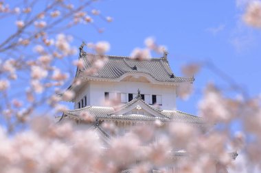 Kiraz çiçekleriyle Himeji Kalesi 1333 tarihli Iconic kalesi Honmachi, Himeji, Hyogo, Japonya 