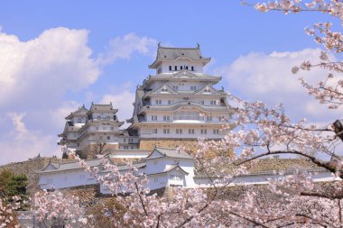 Kiraz çiçekleriyle Himeji Kalesi 1333 tarihli Iconic kalesi Honmachi, Himeji, Hyogo, Japonya 