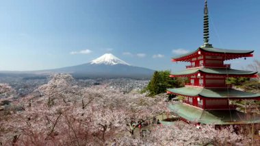 Dağın manzarası. Fuji ve kiraz çiçeği (sakura) baharda Japonya 'nın Fujiyoshida kentindeki Arakura Fuji Sengen Tapınağı' ndan