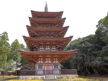 Kiraz çiçekleriyle Daigo-ji Tapınağı, 5 katlı bir Budist tapınağı, Daigohigashiojicho, Fushimi Ward, Kyoto, Japonya 
