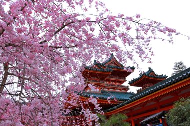 Okazaki Nishitennocho, Sakyo Ward, Kyoto, Japonya 'daki Heian Tapınağı, Shinto tapınağı ve peyzaj bahçeleri.