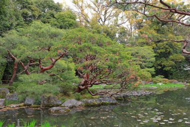 Okazaki Nishitennocho, Sakyo Ward, Kyoto, Japonya 'daki Heian Tapınağı, Shinto tapınağı ve peyzaj bahçeleri.