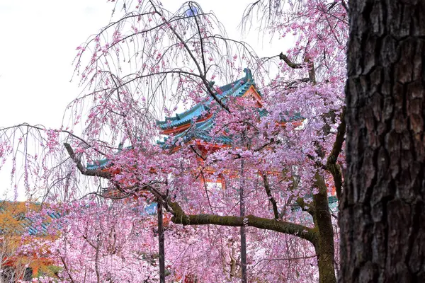 Okazaki Nishitennocho, Sakyo Ward, Kyoto, Japonya 'daki Heian Tapınağı, Shinto tapınağı ve peyzaj bahçeleri.