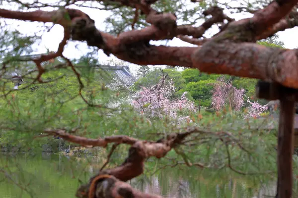 Okazaki Nishitennocho, Sakyo Ward, Kyoto, Japonya 'daki Heian Tapınağı, Shinto tapınağı ve peyzaj bahçeleri.
