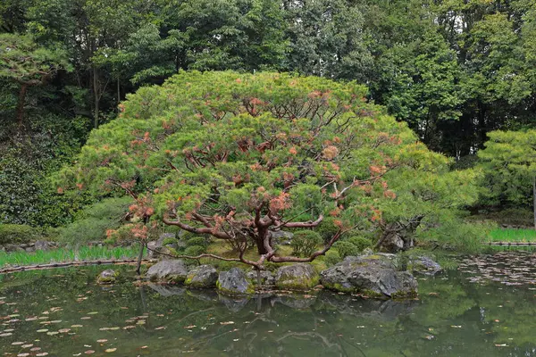 Okazaki Nishitennocho, Sakyo Ward, Kyoto, Japonya 'daki Heian Tapınağı, Shinto tapınağı ve peyzaj bahçeleri.