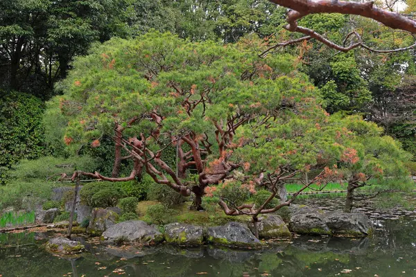 Okazaki Nishitennocho, Sakyo Ward, Kyoto, Japonya 'daki Heian Tapınağı, Shinto tapınağı ve peyzaj bahçeleri.