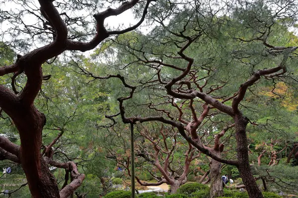 Okazaki Nishitennocho, Sakyo Ward, Kyoto, Japonya 'daki Heian Tapınağı, Shinto tapınağı ve peyzaj bahçeleri.