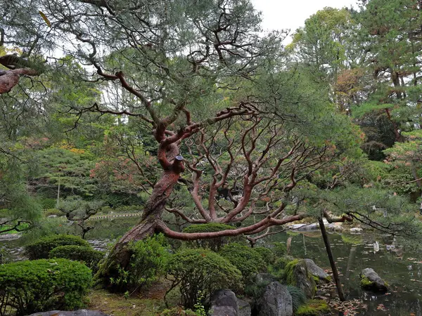 Okazaki Nishitennocho, Sakyo Ward, Kyoto, Japonya 'daki Heian Tapınağı, Shinto tapınağı ve peyzaj bahçeleri.