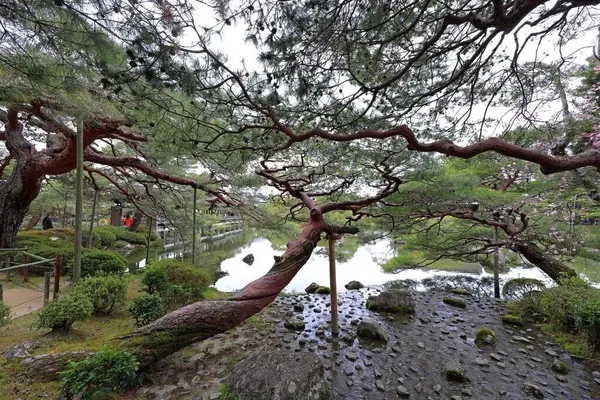 Okazaki Nishitennocho, Sakyo Ward, Kyoto, Japonya 'daki Heian Tapınağı, Shinto tapınağı ve peyzaj bahçeleri.