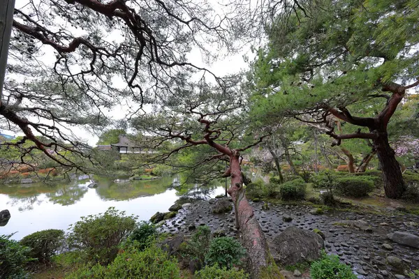 Okazaki Nishitennocho, Sakyo Ward, Kyoto, Japonya 'daki Heian Tapınağı, Shinto tapınağı ve peyzaj bahçeleri.