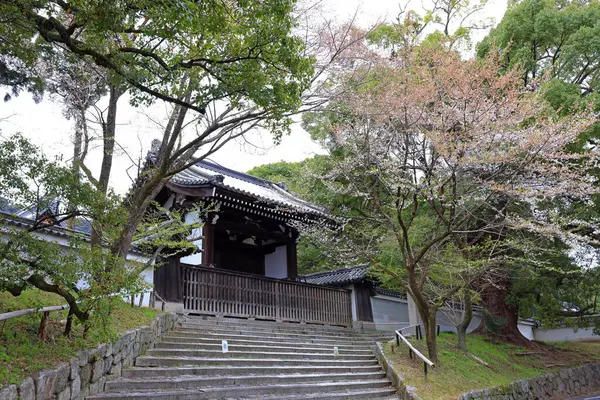Chion-in Tapınağı, Japonya 'nın Kyoto şehrinde antik sanat ve Zen bahçesi olan büyük bir Budist tapınağı.