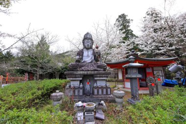Nara Japonya 'da kiraz çiçekleri ve kiraz ağaçları arasında büyük bir Buda heykeli olan Tsubosaka-dera.