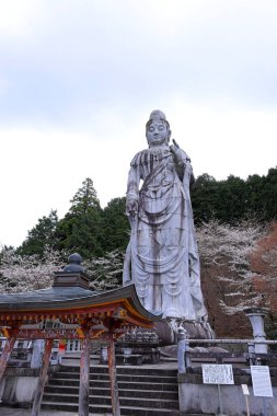 Nara Japonya 'da kiraz çiçekleri ve kiraz ağaçları arasında büyük bir Buda heykeli olan Tsubosaka-dera.