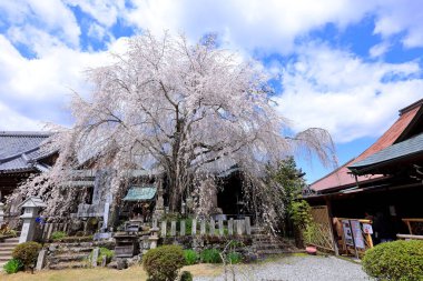 Sakuramotobo Tapınağı, Yoshinoyama 'da bir Budist tapınağı, Yoshino Bölgesi, Nara, Japonya 
