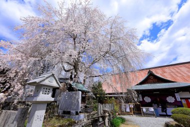 Sakuramotobo Tapınağı, Yoshinoyama 'da bir Budist tapınağı, Yoshino Bölgesi, Nara, Japonya 