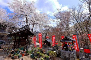 Zenpukuji Tapınağı, Yoshinoyama 'daki bir Budist tapınağı, Yoshino Bölgesi, Nara, Japonya