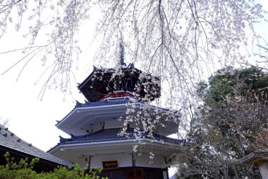 Yoshino İmparatorluk Sarayı Yoshinoyama, Yoshino, Yoshino Bölgesi, Nara, Japonya