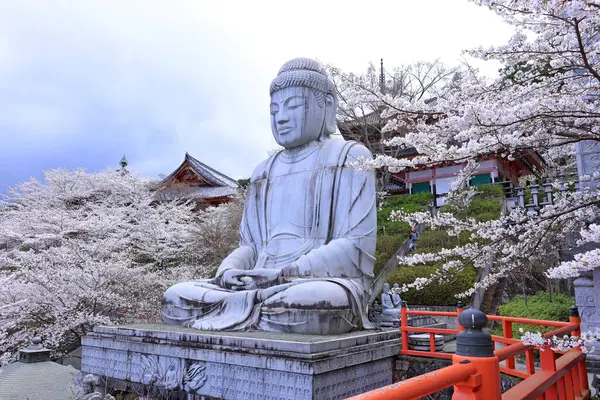 Nara Japonya 'da kiraz çiçekleri ve kiraz ağaçları arasında büyük bir Buda heykeli olan Tsubosaka-dera.