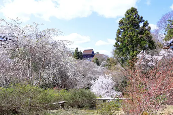 Kinpusenji, Yoshinoyama 'daki bir Budist tapınağı, Yoshino, Yoshino Bölgesi, Nara, Japonya