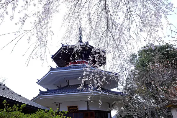 Yoshino İmparatorluk Sarayı Yoshinoyama, Yoshino, Yoshino Bölgesi, Nara, Japonya