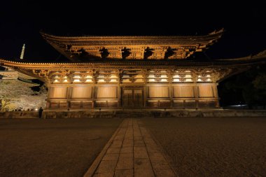 Kiraz çiçekleri olan Toji Tapınağı, Kujocho, Minami, Kyoto, Japonya 'da 5 katlı ahşap bir tapınağı olan tarihi Budist tapınağı.