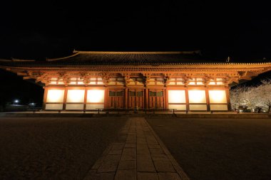 Kiraz çiçekleri olan Toji Tapınağı, Kujocho, Minami, Kyoto, Japonya 'da 5 katlı ahşap bir tapınağı olan tarihi Budist tapınağı.