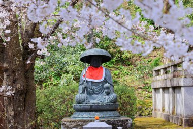 Kiraz çiçekli Hasedera Tapınağı, Japonya 'da Shingon Budizmi' nin Buzan mezhebi için bir Budist tapınağı.