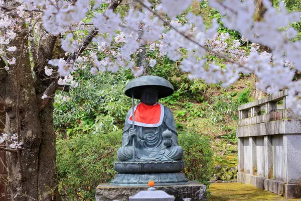 Kiraz çiçekli Hasedera Tapınağı, Japonya 'da Shingon Budizmi' nin Buzan mezhebi için bir Budist tapınağı.