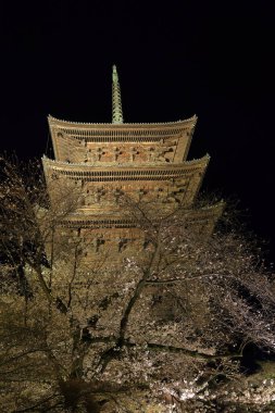 Kiraz çiçekleri olan Toji Tapınağı, Kujocho, Minami, Kyoto, Japonya 'da 5 katlı ahşap bir tapınağı olan tarihi Budist tapınağı.