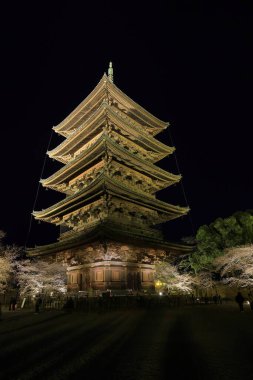 Kiraz çiçekleri olan Toji Tapınağı, Kujocho, Minami, Kyoto, Japonya 'da 5 katlı ahşap bir tapınağı olan tarihi Budist tapınağı.