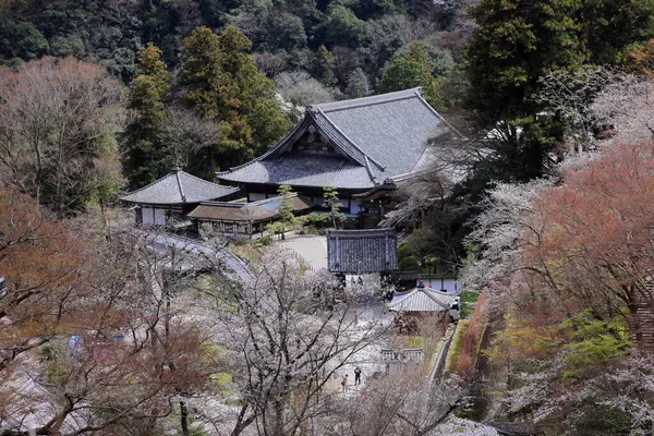 Kiraz çiçekli Hasedera Tapınağı, Japonya 'da Shingon Budizmi' nin Buzan mezhebi için bir Budist tapınağı.