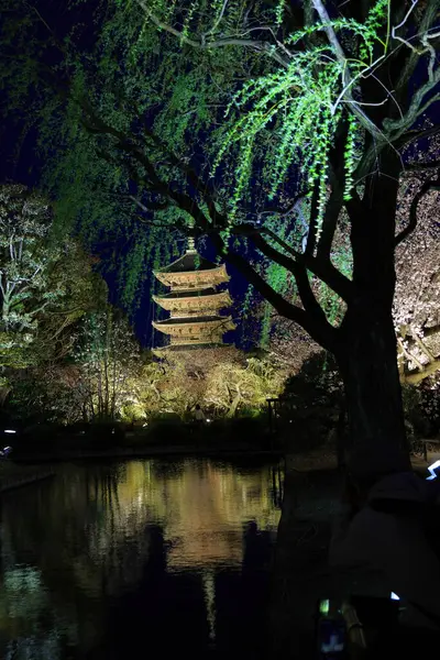 Kiraz çiçekleri olan Toji Tapınağı, Kujocho, Minami, Kyoto, Japonya 'da 5 katlı ahşap bir tapınağı olan tarihi Budist tapınağı.